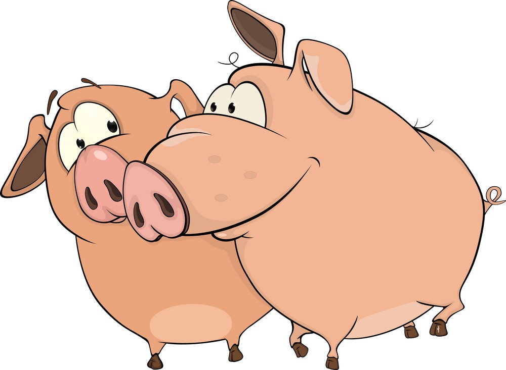2匹の漫画の豚のイラスト イラスト