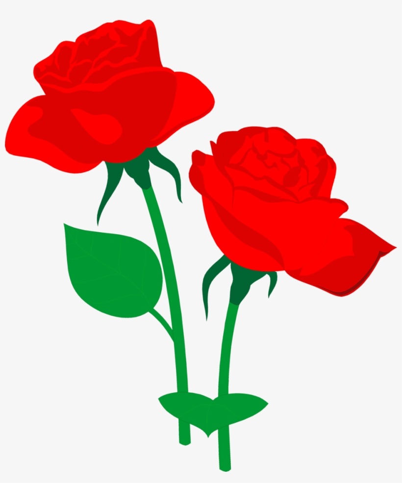 2つの赤いバラのイラスト