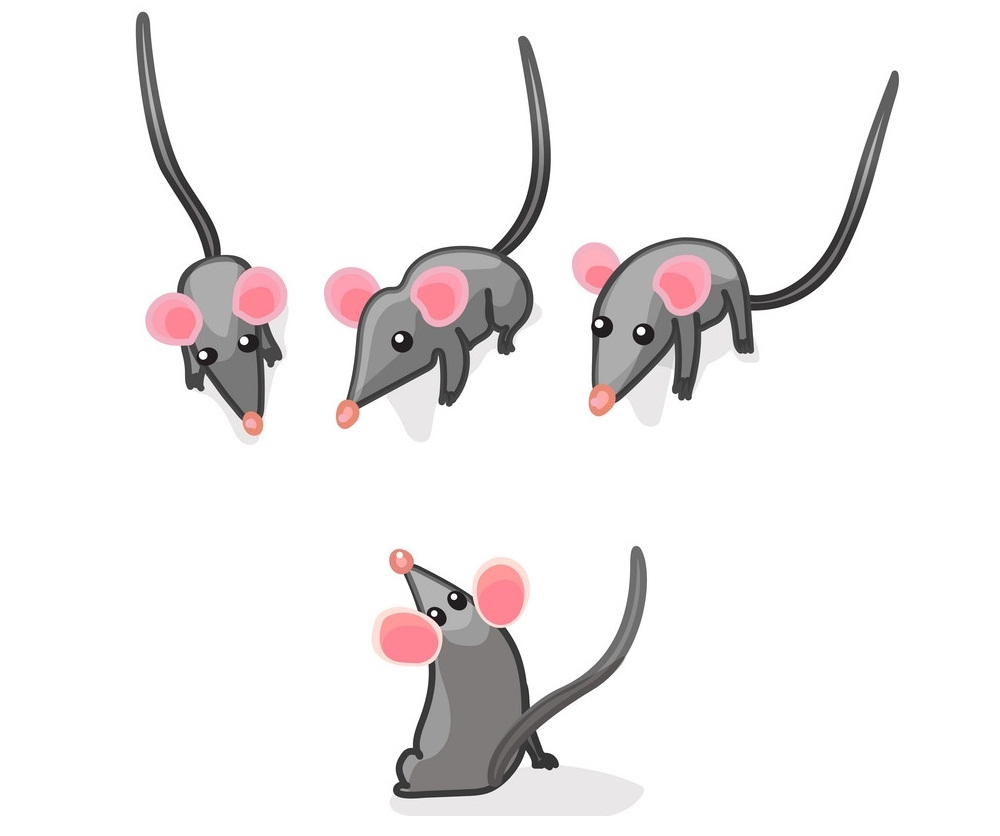 4匹のネズミのイラスト イラスト