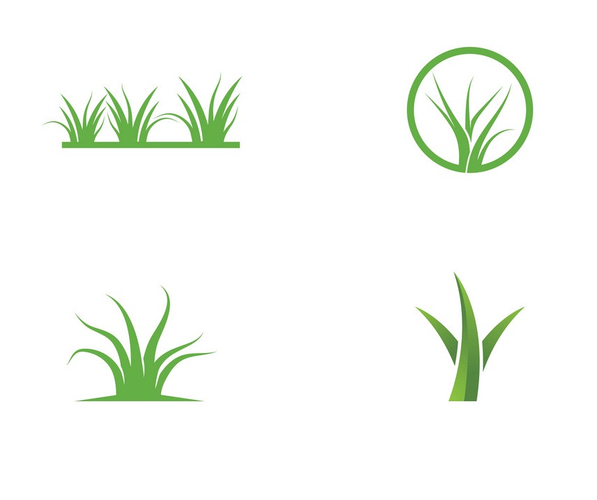 4つの草のロゴのイラスト イラスト