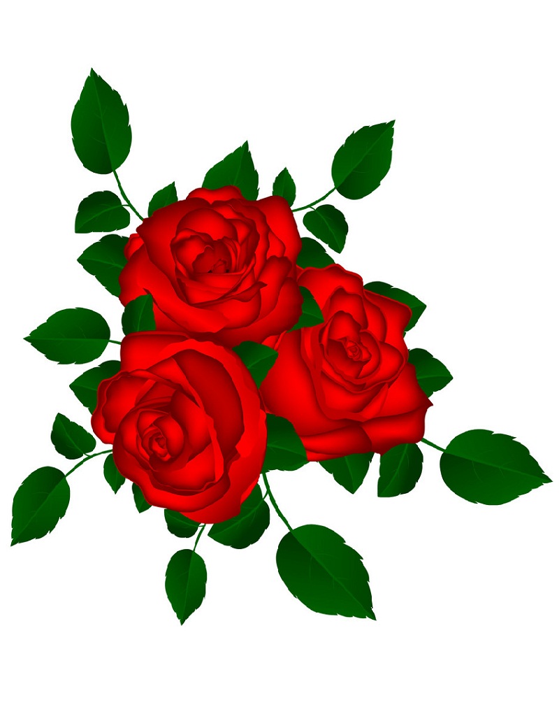赤いバラの花束のイラスト 2
