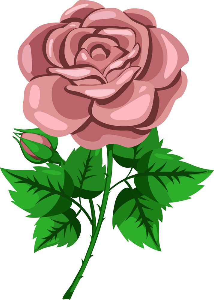ベージュのバラの花のイラスト
