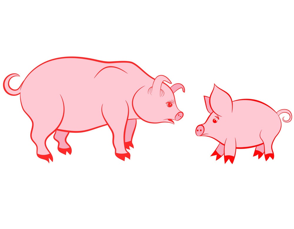 母豚と赤ちゃんピンクのイラスト イラスト