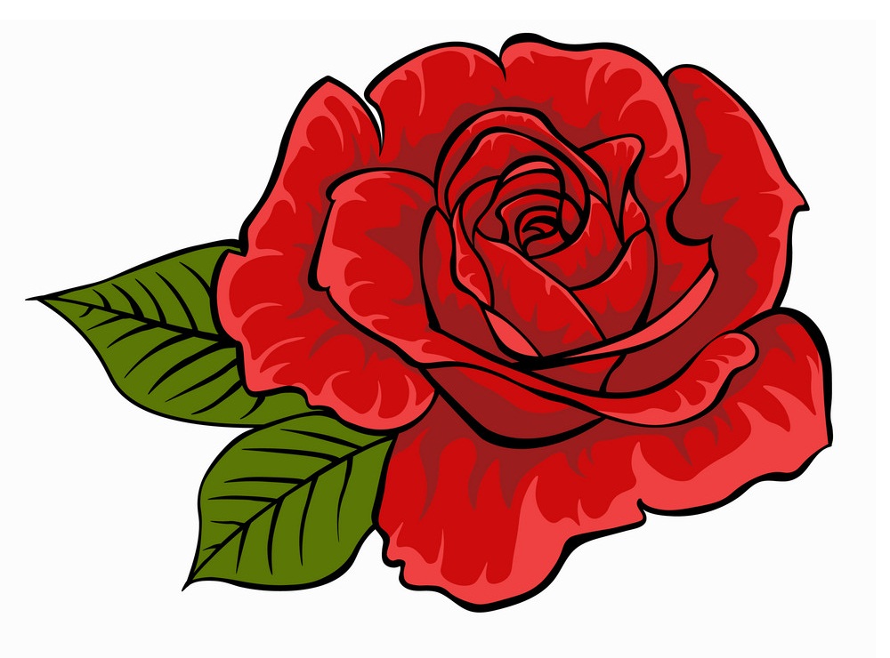 分離された赤いバラの花のイラスト イラスト