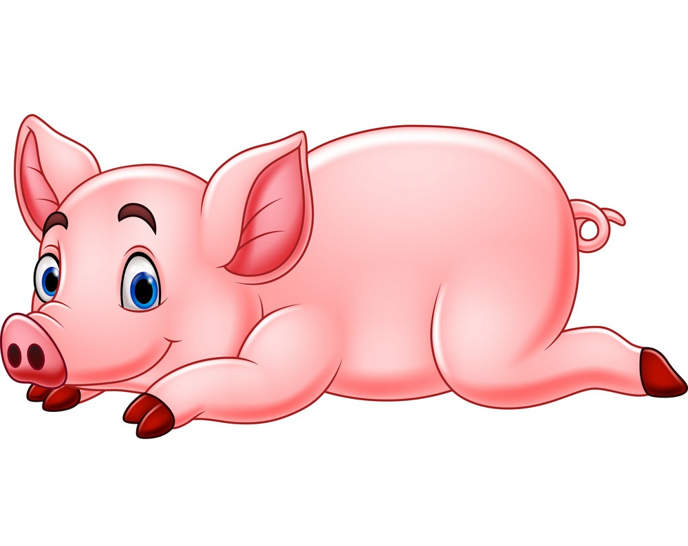 豚が横たわっているイラスト イラスト