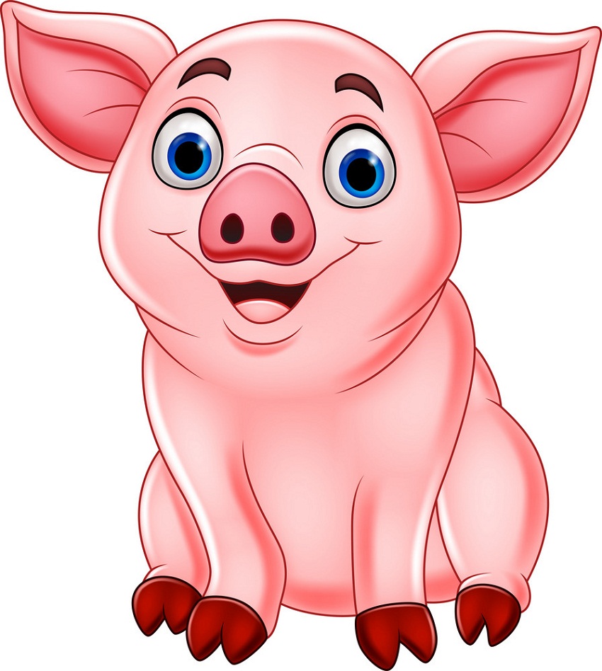 豚の座りイラスト イラスト