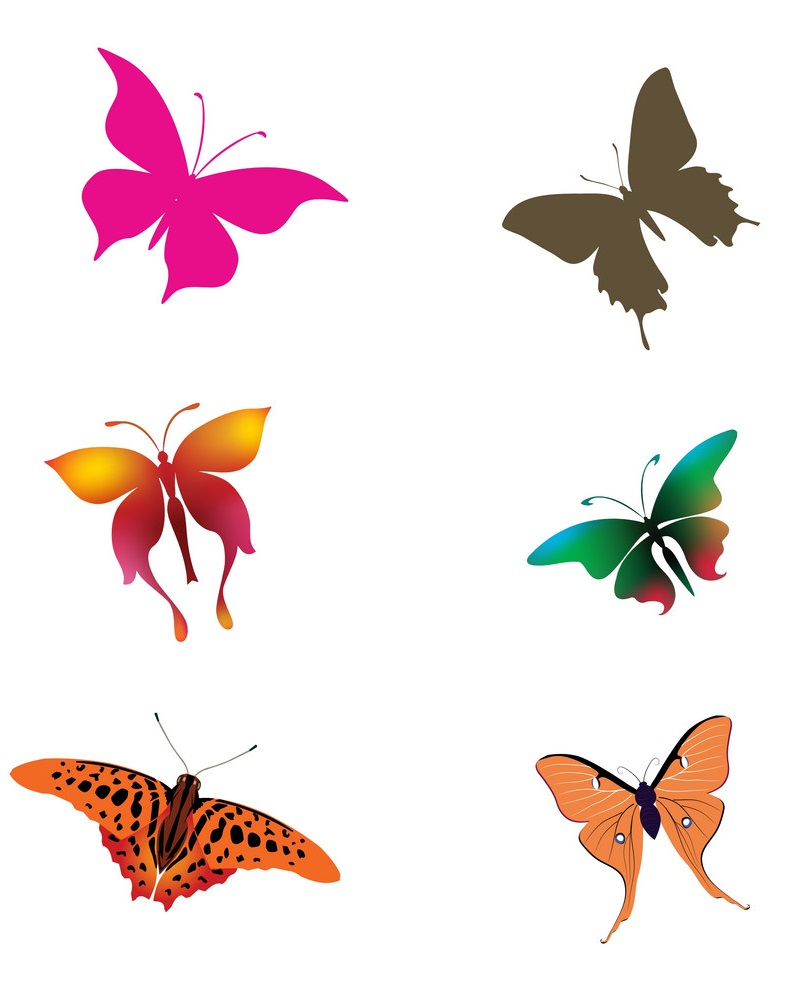蝶コレクションのイラスト イラスト