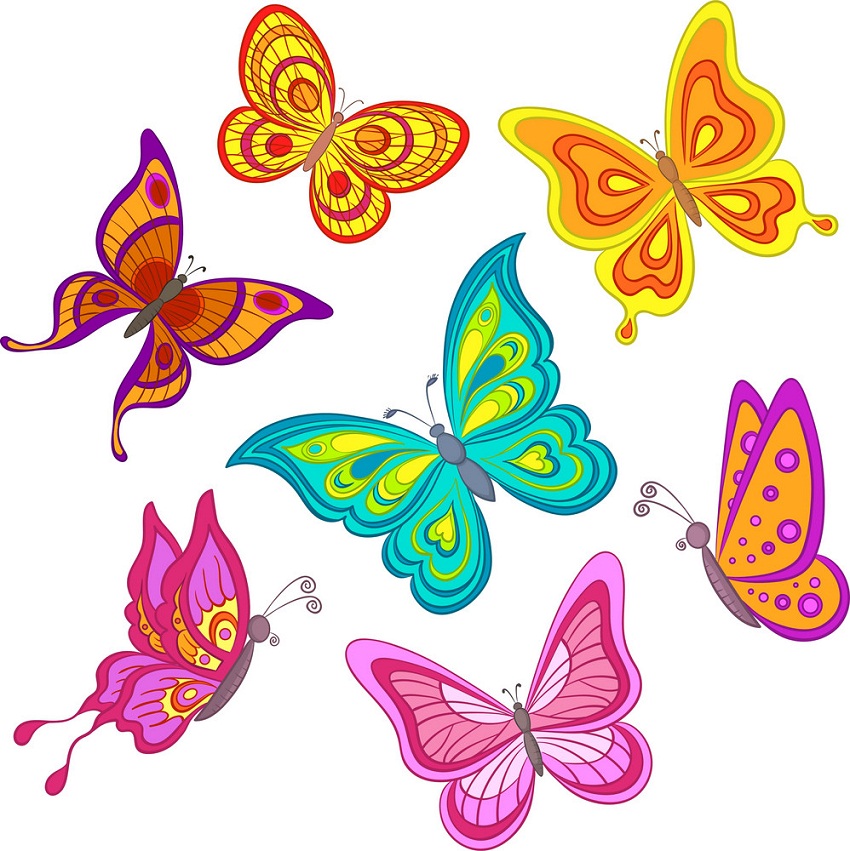 蝶のイラストのセット イラスト