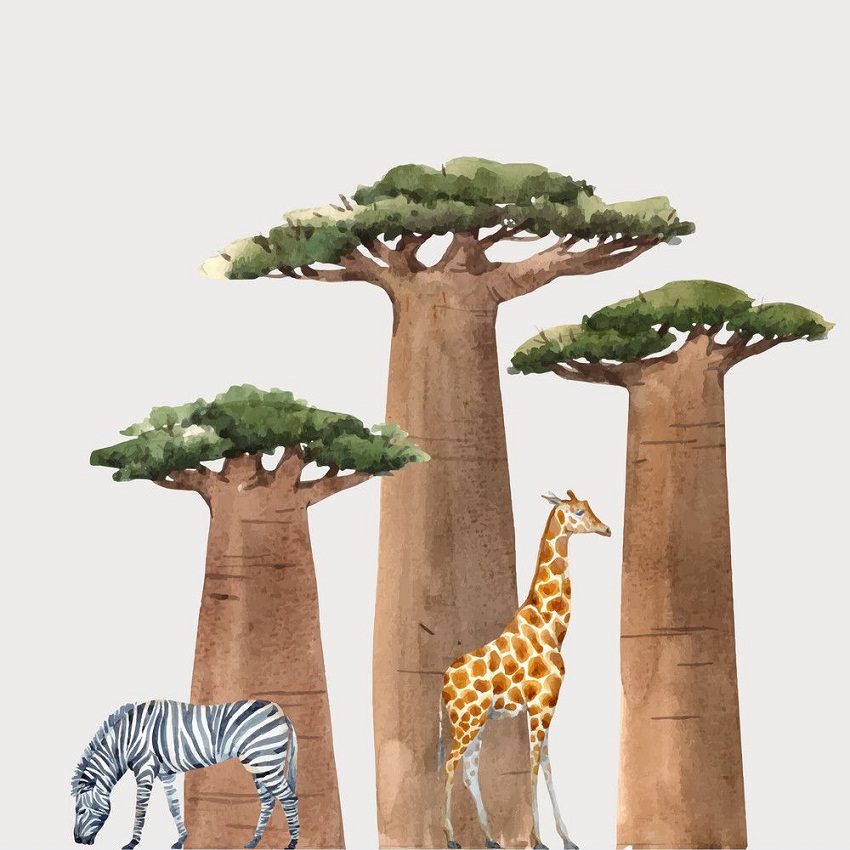 動物とバボバブの木をイラストします。 イラスト