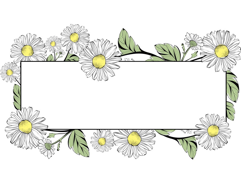 デイジーの花のボーダーのイラスト イラスト