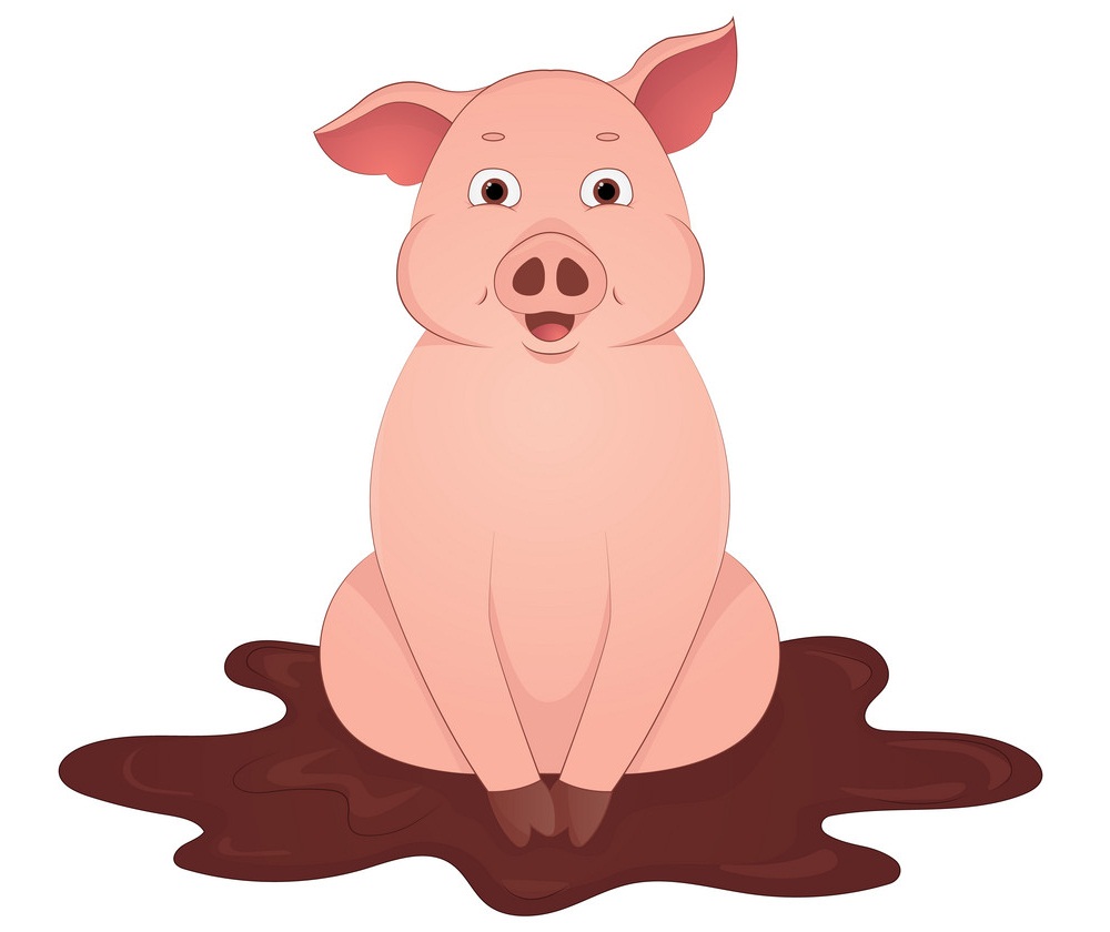 泥の中に座っている豚のイラスト イラスト