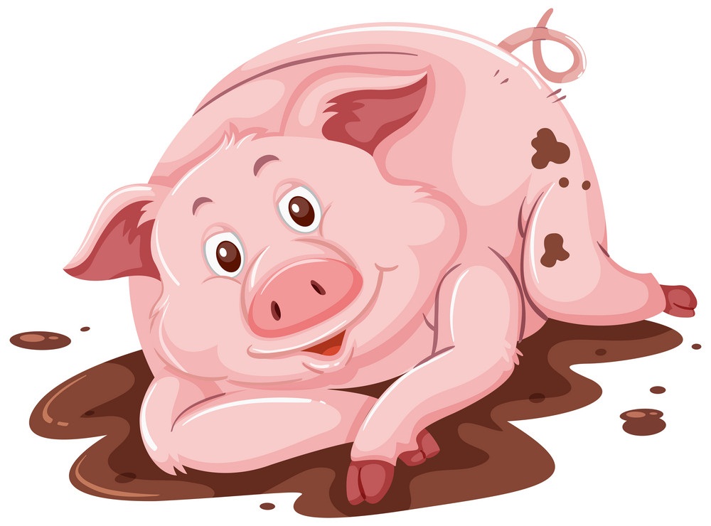 泥の中の豚のイラスト イラスト