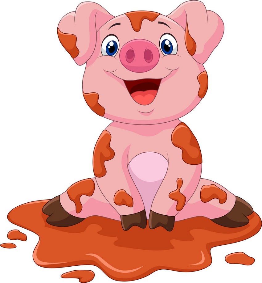 泥の中の幸せな豚のイラスト イラスト