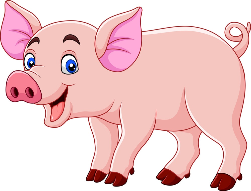 笑顔の豚のイラスト イラスト