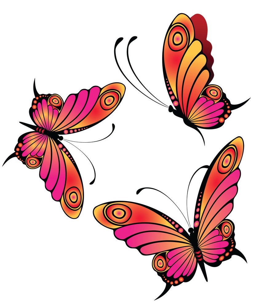 エレガントな蝶のイラスト イラスト