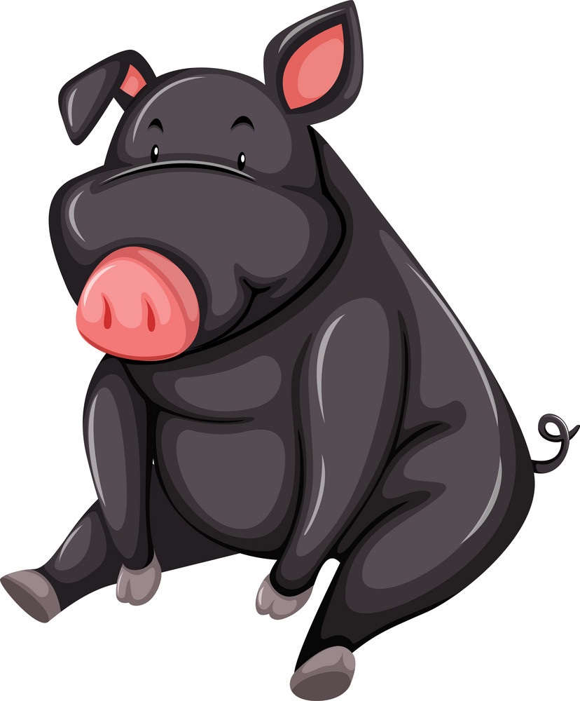 太った黒豚のイラスト イラスト