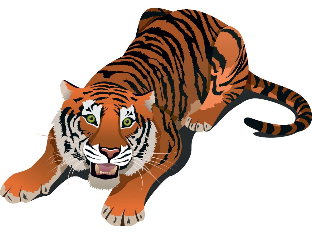 轟音を立てて横たわる虎のイラスト イラスト