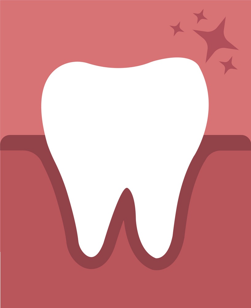 歯茎の歯のイラスト 2 イラスト