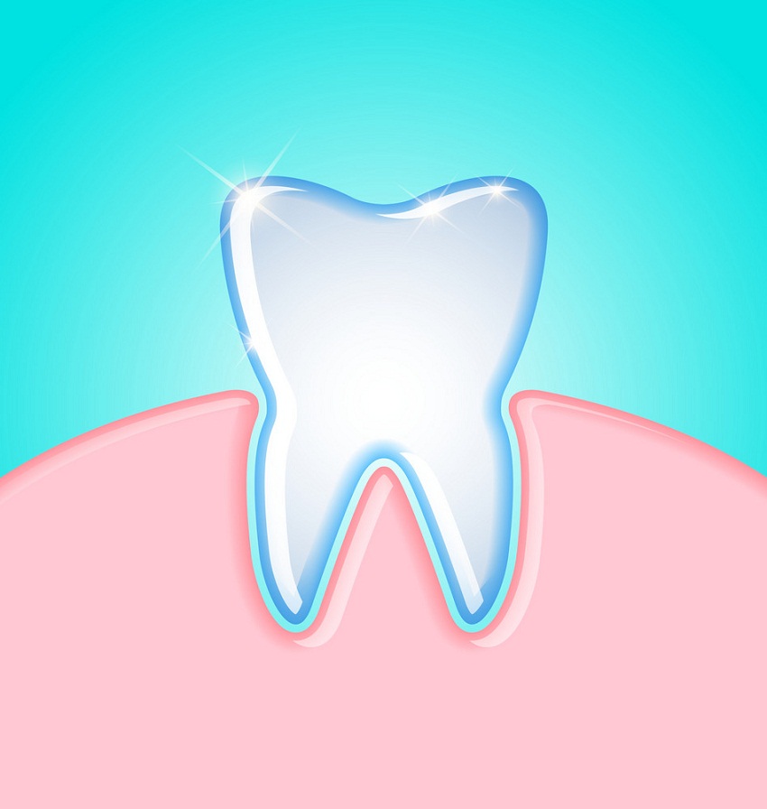 歯茎の歯を掃除するイラスト