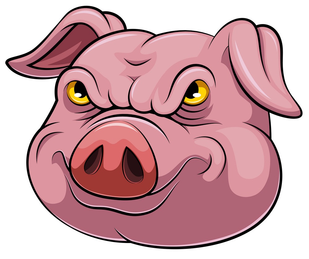 怒っている豚の頭のイラスト イラスト