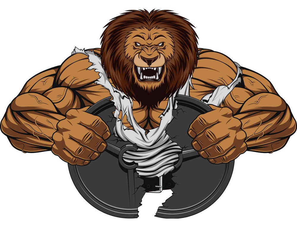 怒っている強いライオンのイラスト イラスト