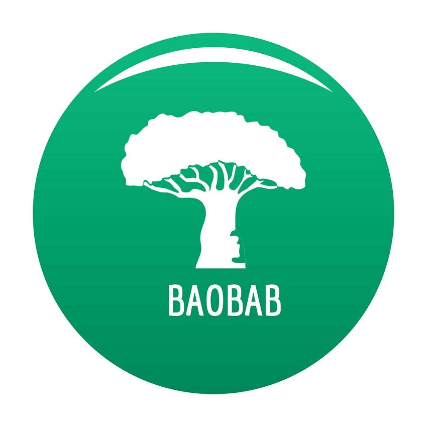 イラストバオバブの木のロゴ