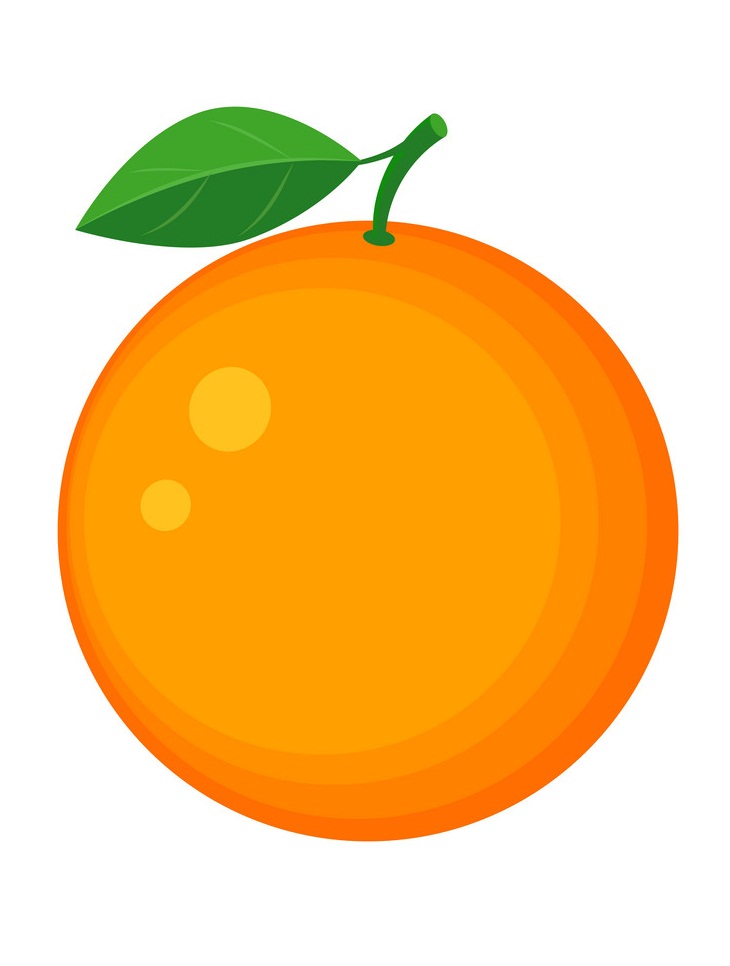 ジューシーなオレンジ色の果物のイラスト イラスト