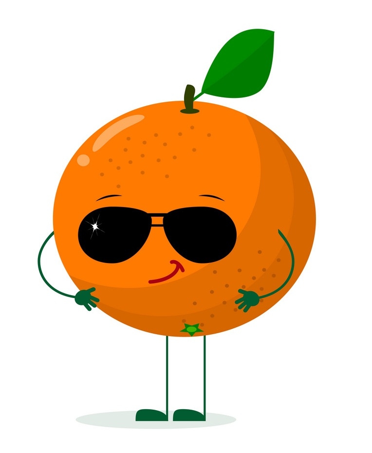 クールなオレンジ色の果物のイラスト イラスト
