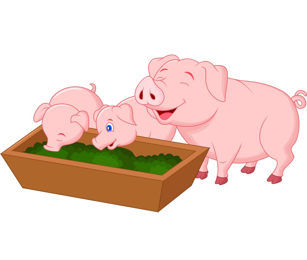 家族の豚が食べるイラスト イラスト