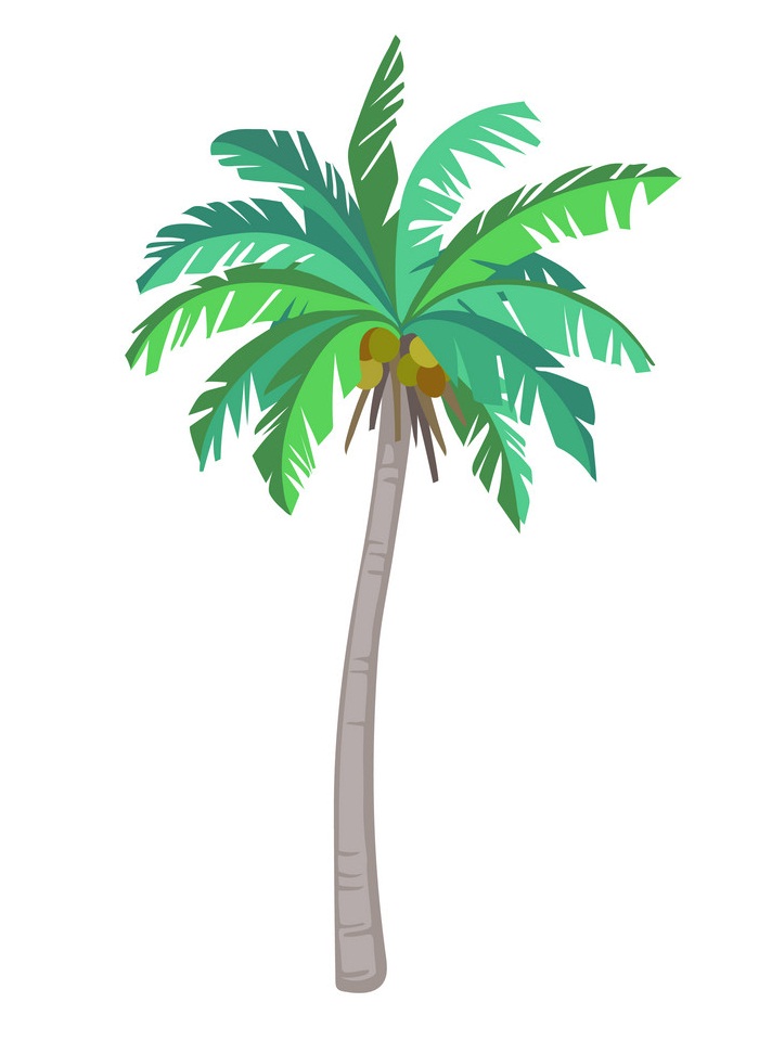 ココヤシの木のイラスト イラスト