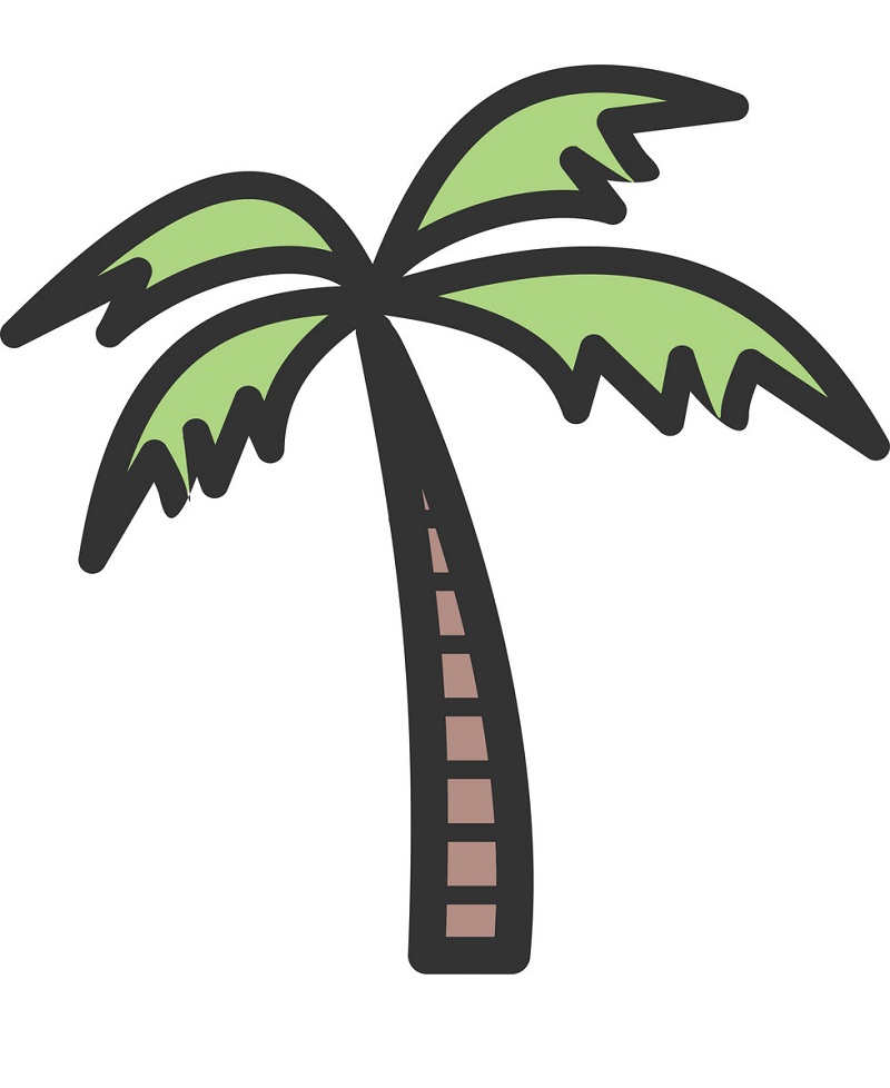 ココヤシの木の図面イラスト イラスト