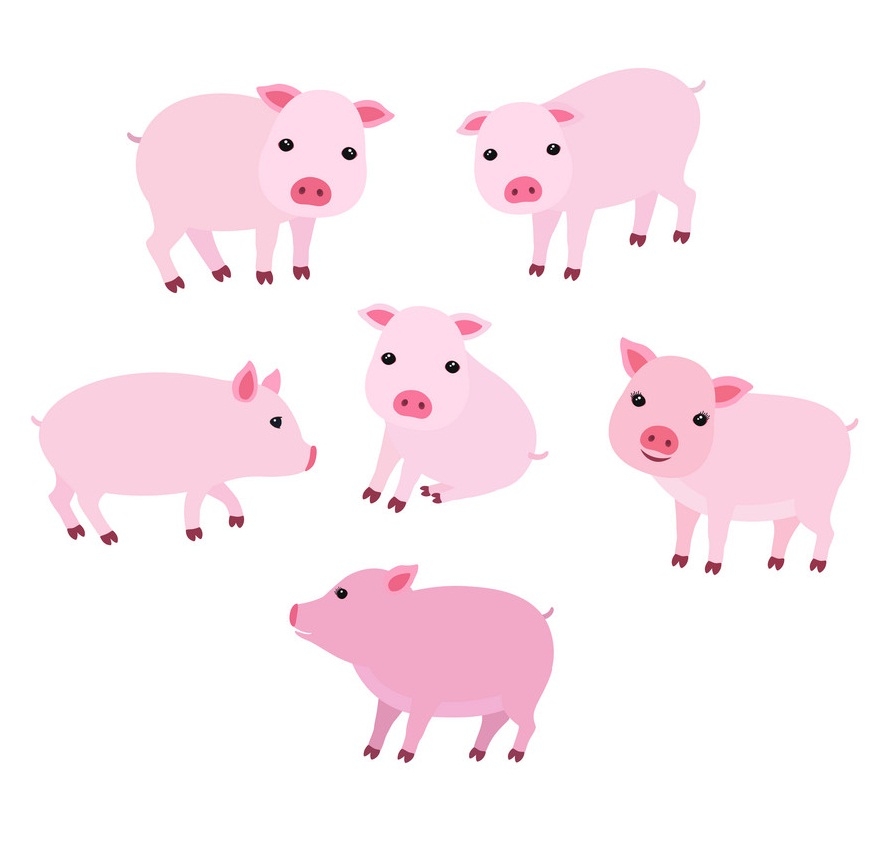 子豚の群れのイラスト イラスト