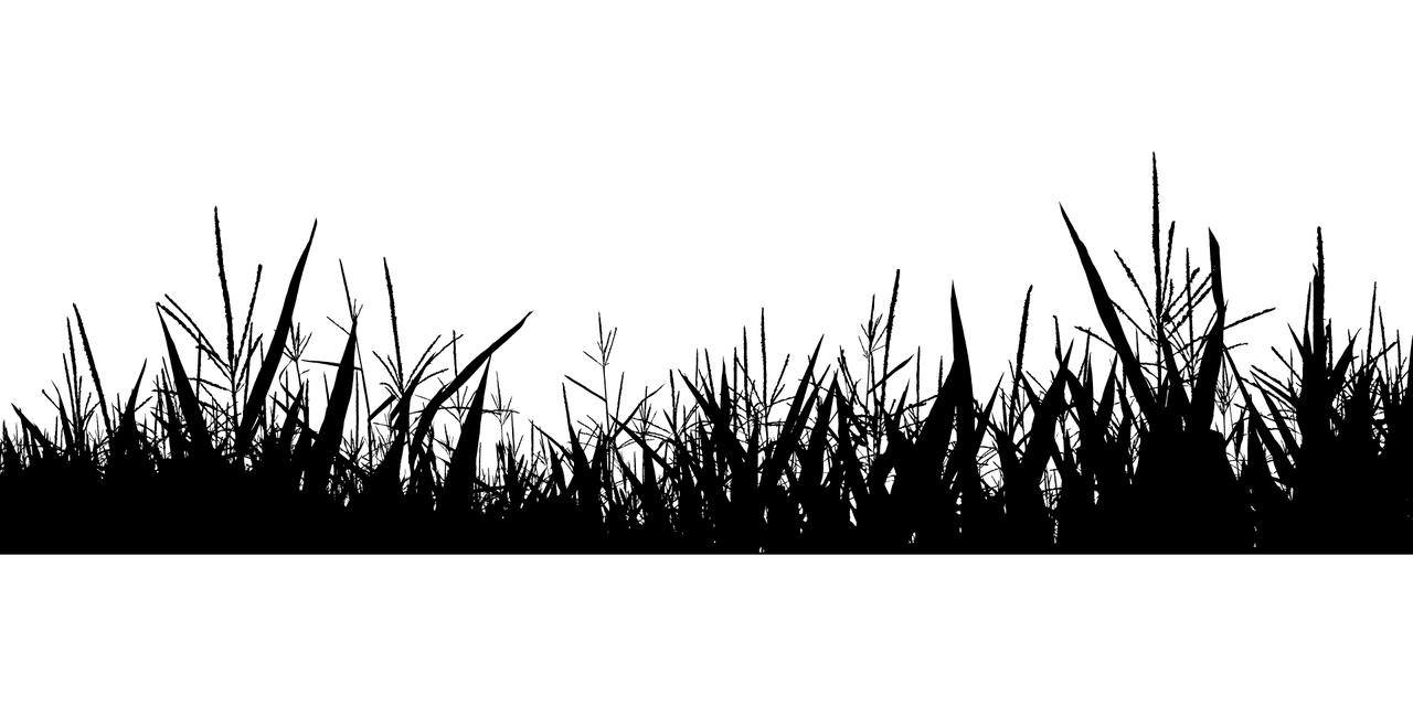 草のシルエットが透明のイラスト イラスト