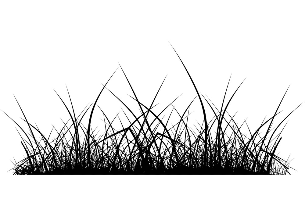 草のシルエットのイラスト 2