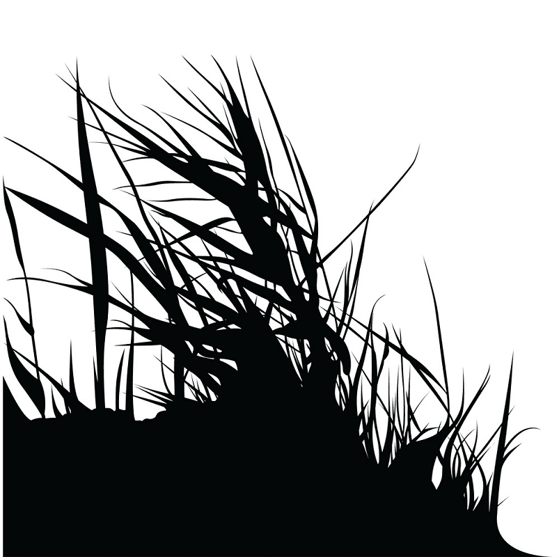 草のシルエットのイラスト png 13