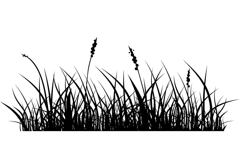 草のシルエットのイラスト png 14
