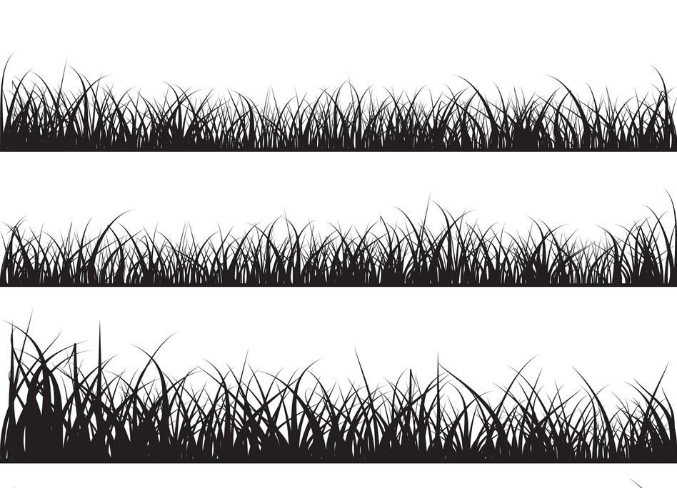 草のシルエットのイラストpng 5