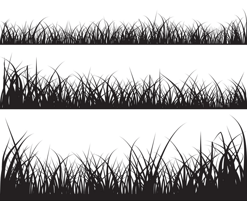 草のシルエットのイラストpng 6
