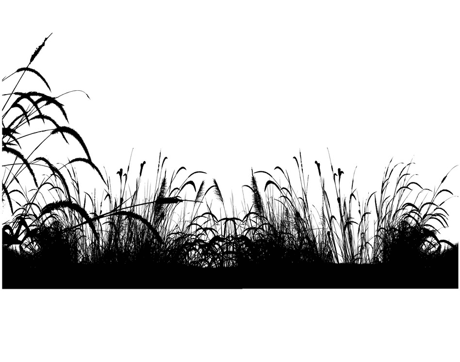草のシルエットのイラストpng 8