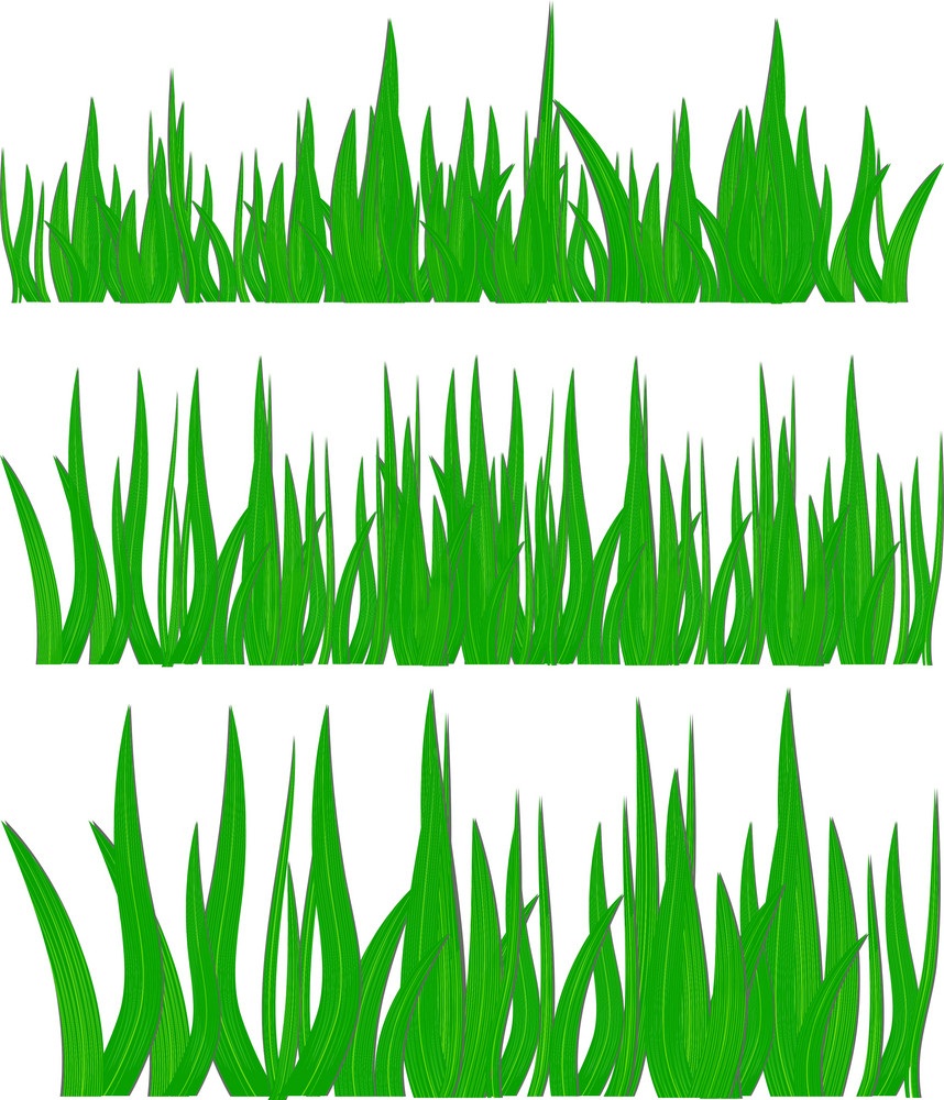緑の草のイラスト 2