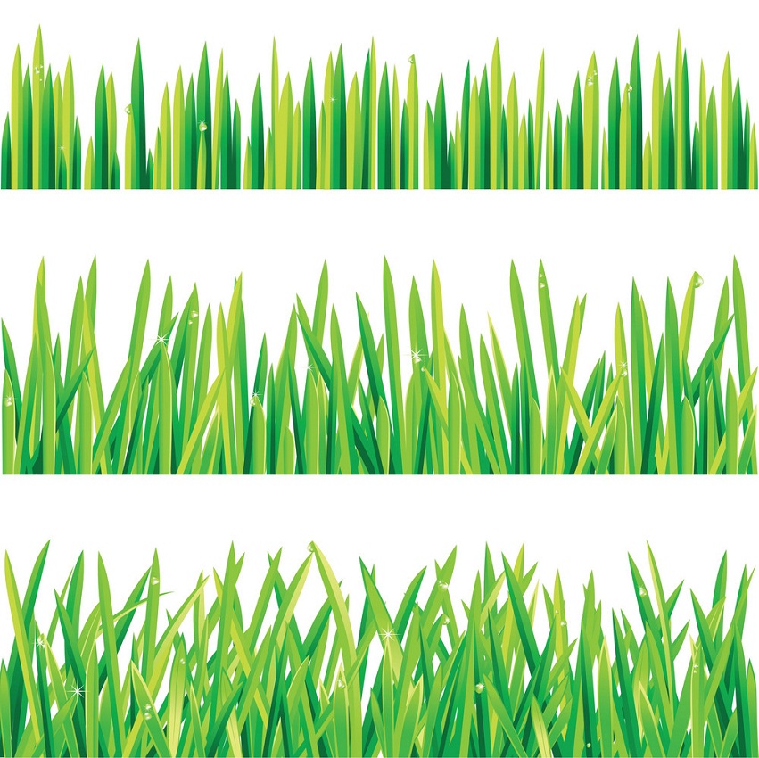 緑の草のイラスト イラスト