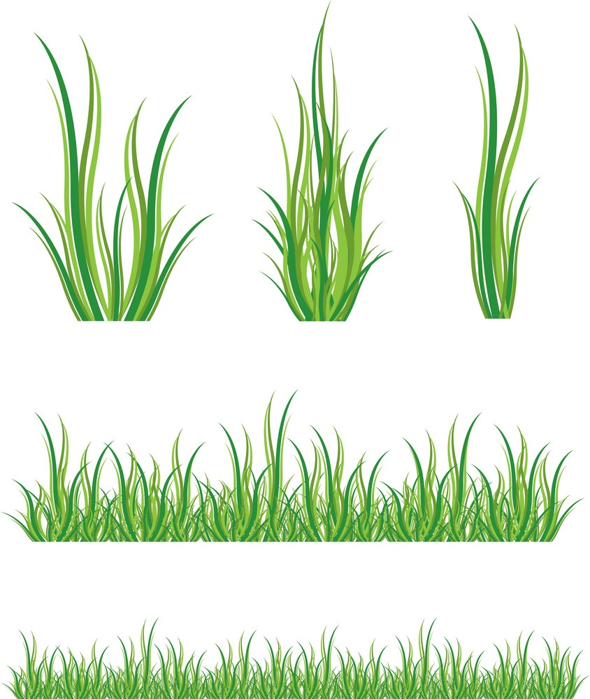 緑の草のセットのイラスト イラスト