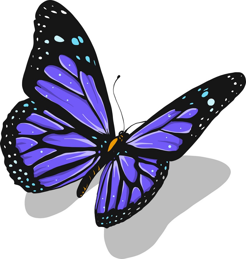 紫色の蝶のイラスト イラスト
