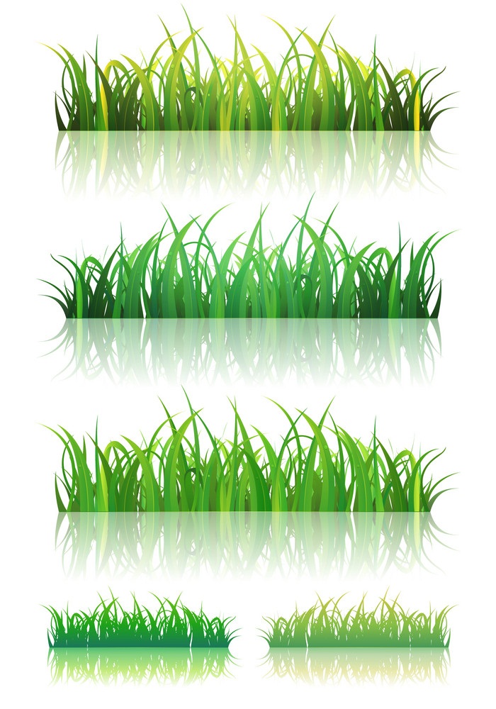 夏の緑の草のイラスト