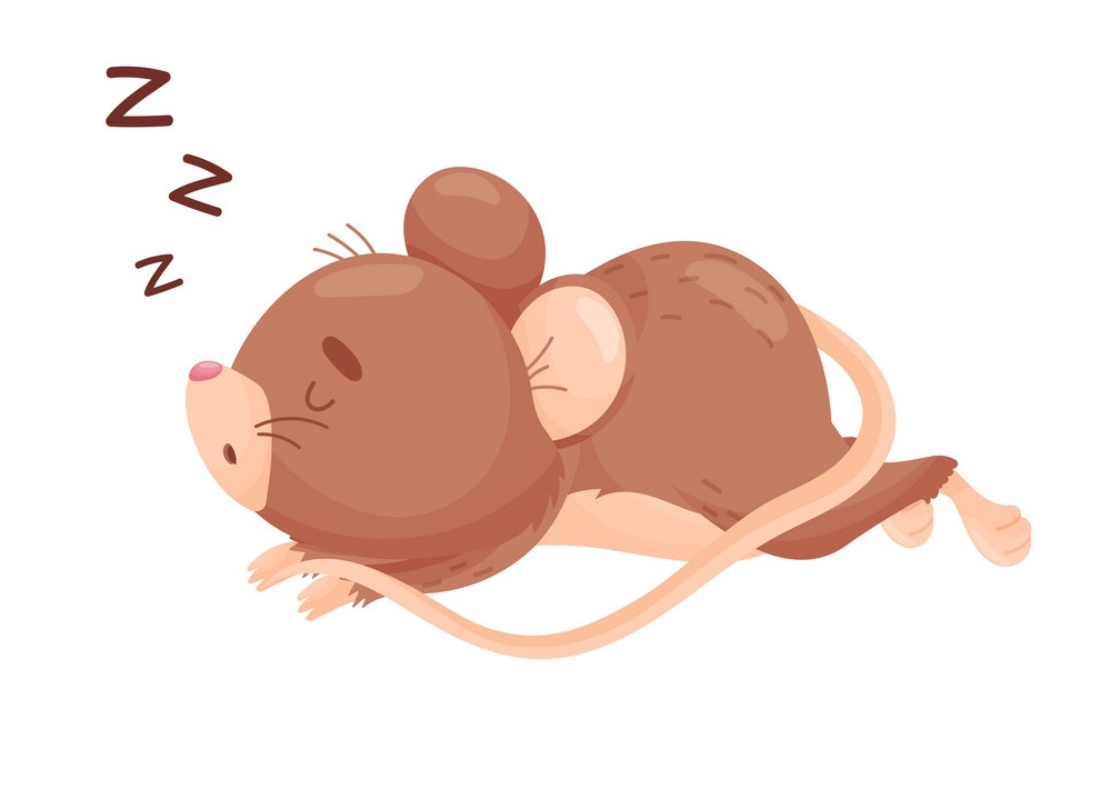 眠っているネズミのイラスト イラスト