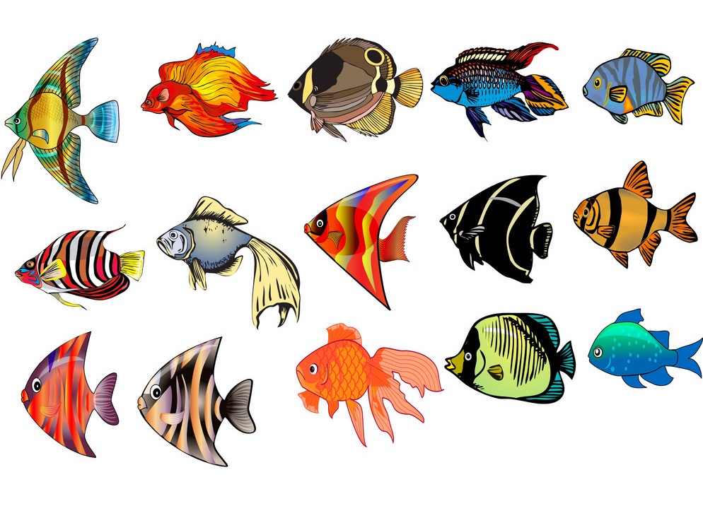 熱帯魚セットのイラスト イラスト