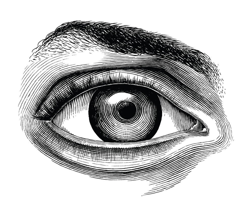 人間の目の解剖学手描きヴィンテージイラスト イラスト