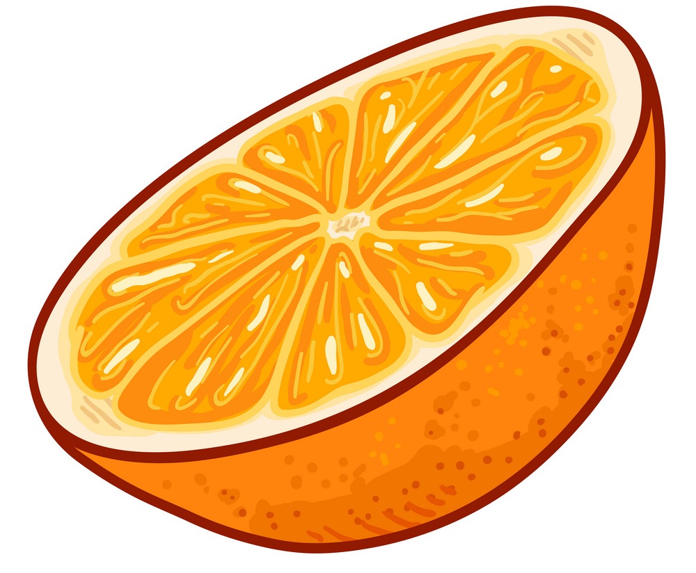 オレンジ色の果物の半分のイラスト イラスト