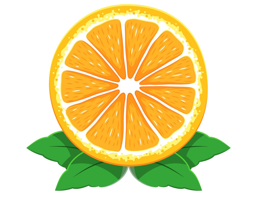 オレンジ色の果物のスライスのベクトル イラスト イラスト