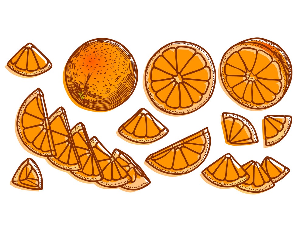 オレンジのスライスと部分のイラストが入ったオレンジ イラスト